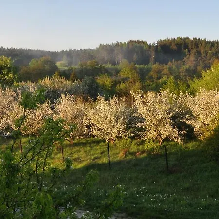 Ceska Kanada *