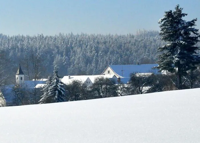 Ceska Kanada *