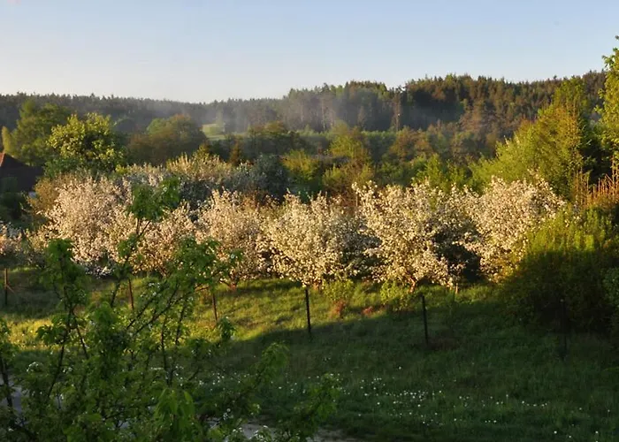 Ceska Kanada *